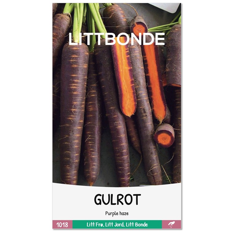 GULROT - Purple haze - Bilde 2