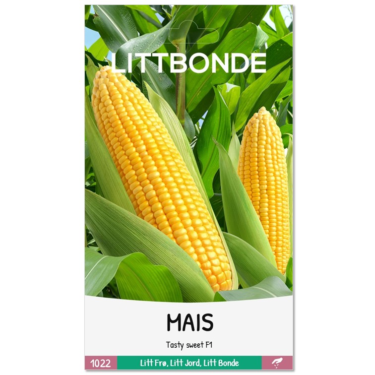 MAIS - Tasty sweet F1 - Bilde 2