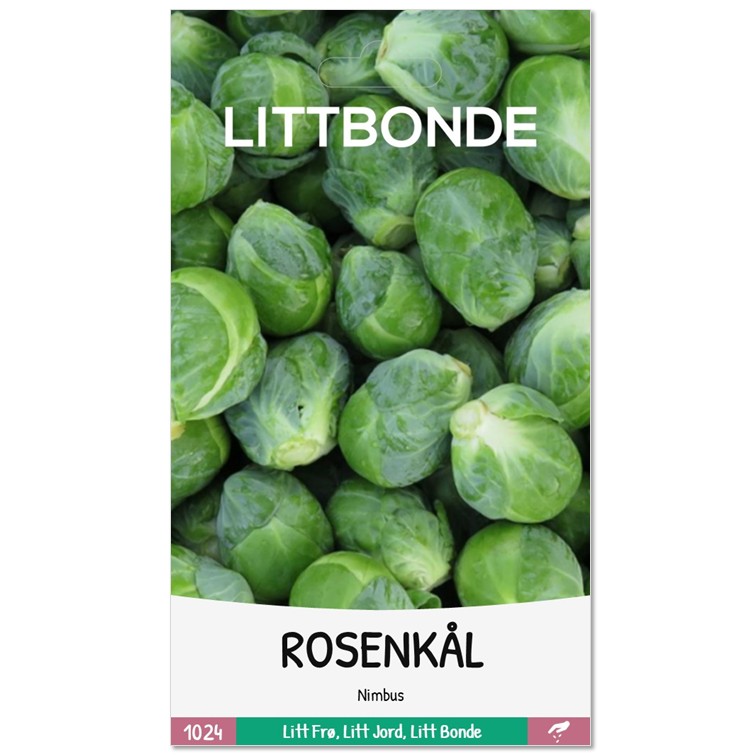 ROSENKÅL - Nimbus - Bilde 2