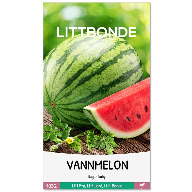 VANNMELON - Sugar baby - Bilde 2