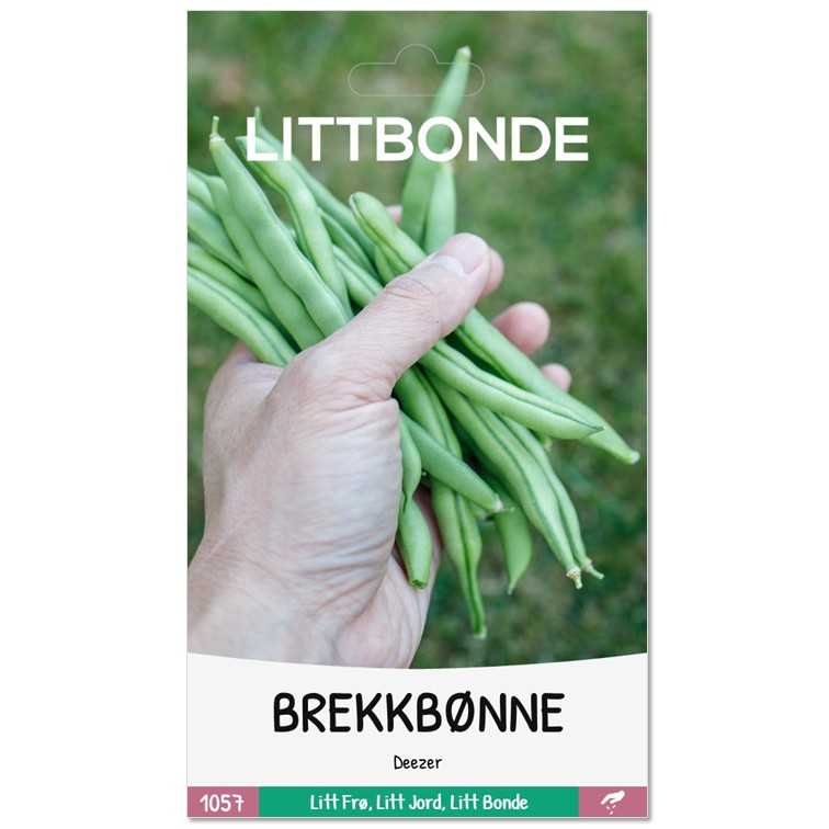 BREKKBØNNE - Deezer - Bilde 2