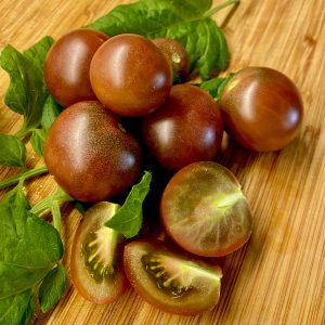 TOMAT - Black Cherry