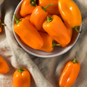 PAPRIKA - Snackbite orange