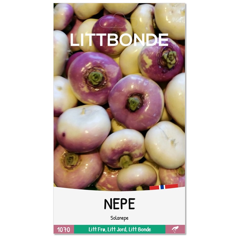 NEPE - Solanepe - Bilde 2