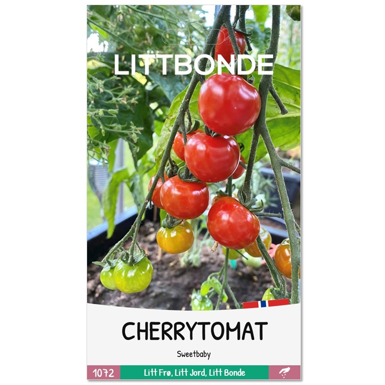 CHERRYTOMAT - Sweetbaby - Bilde 2