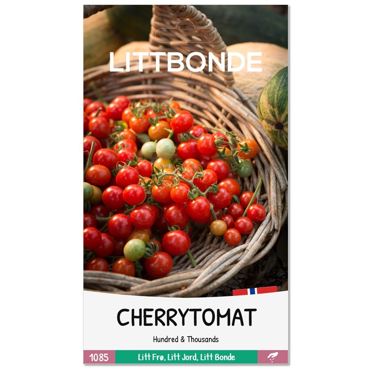 CHERRYTOMAT - Hundred & Thousands - Bilde 2