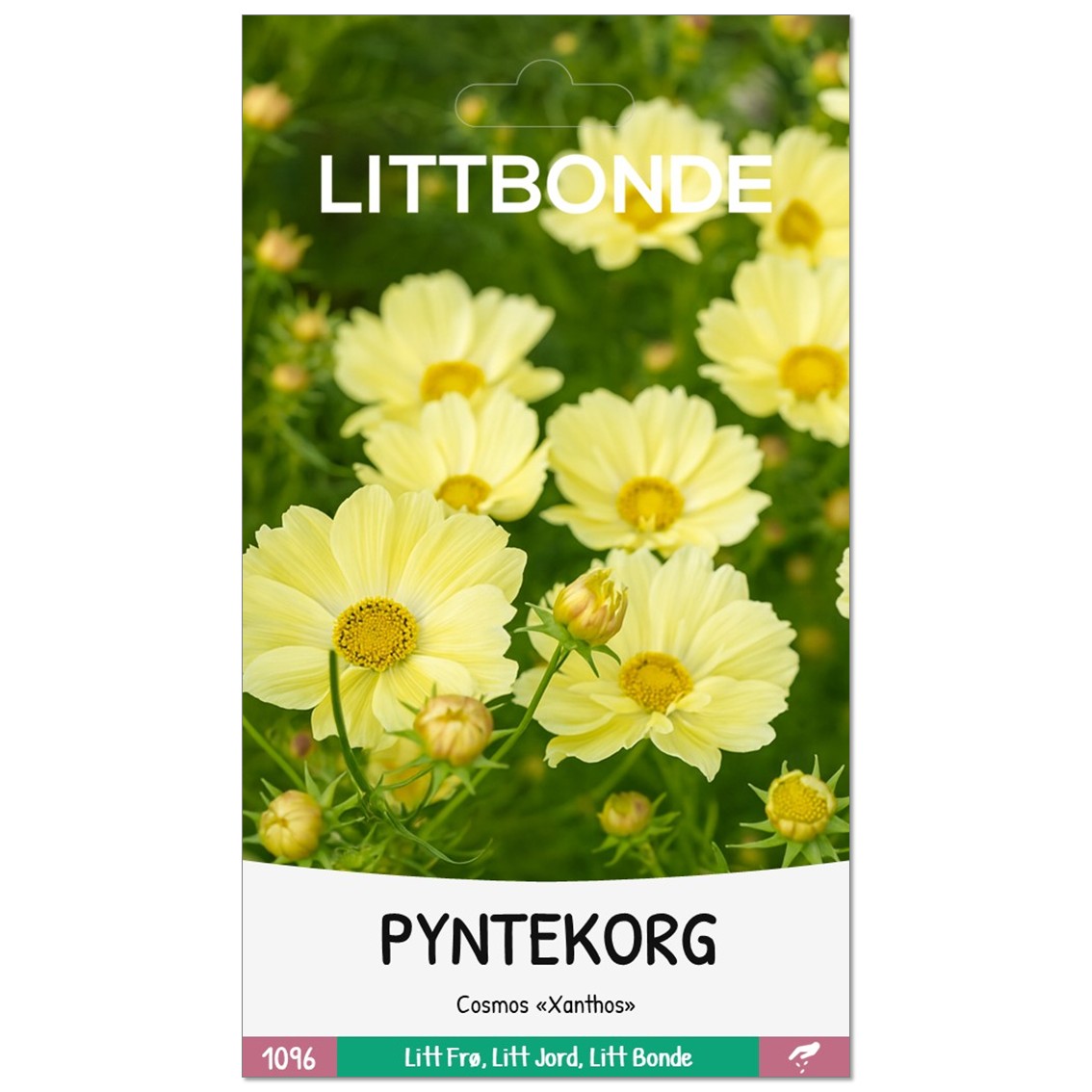 PYNTEKORG- Cosmos «Xanthos» - Bilde 2