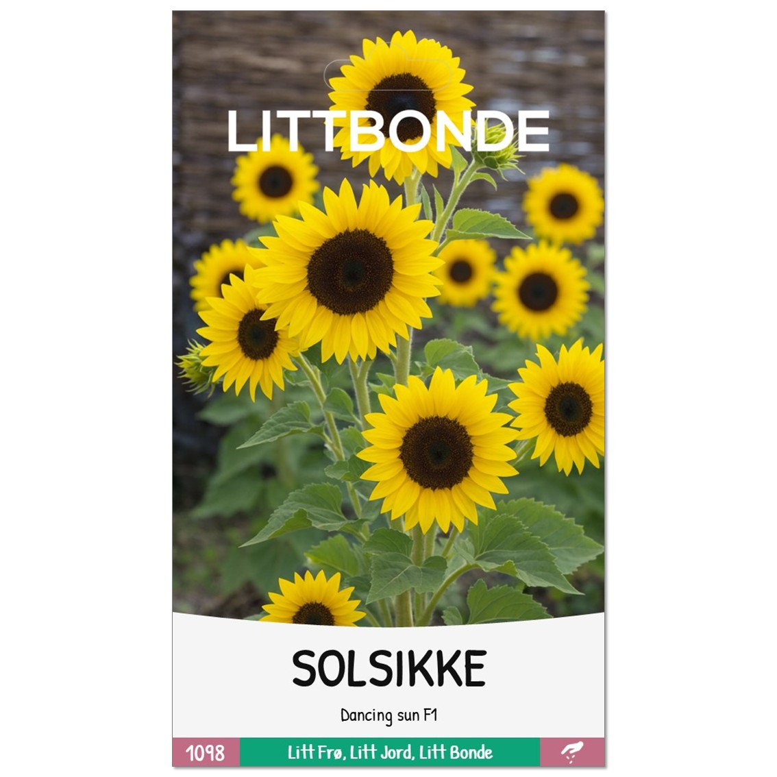SOLSIKKE- Dancing sun F1 - Bilde 2