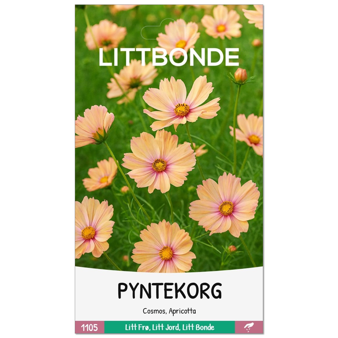 PYNTEKORG- Cosmos, Apricotta - Bilde 2