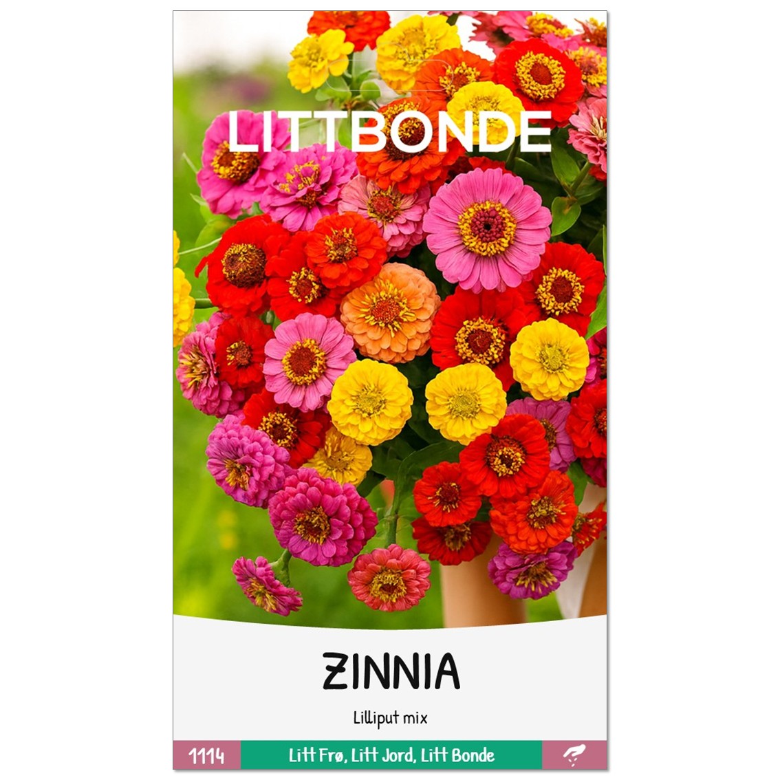 ZINNIA- Lilliput mix - Bilde 2