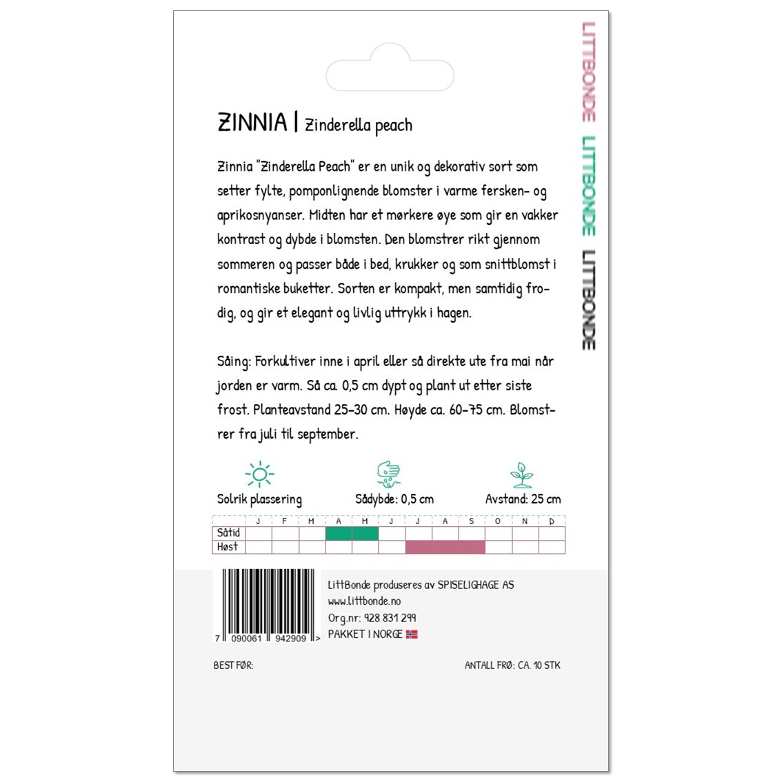 ZINNIA- Zinderella peach - Bilde 3