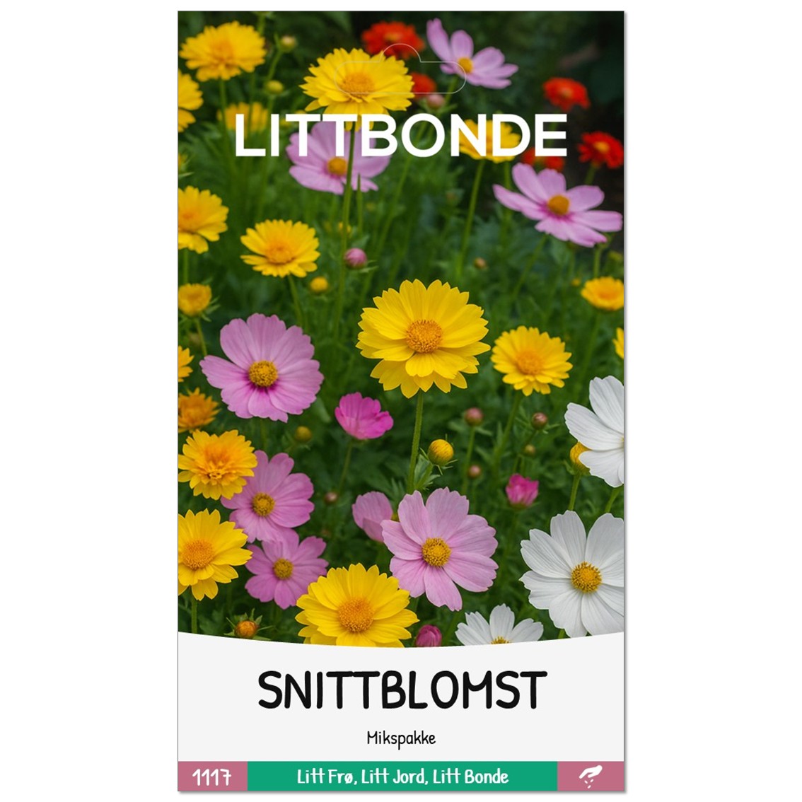 SNITTBLOMST- Mikspakke - Bilde 2