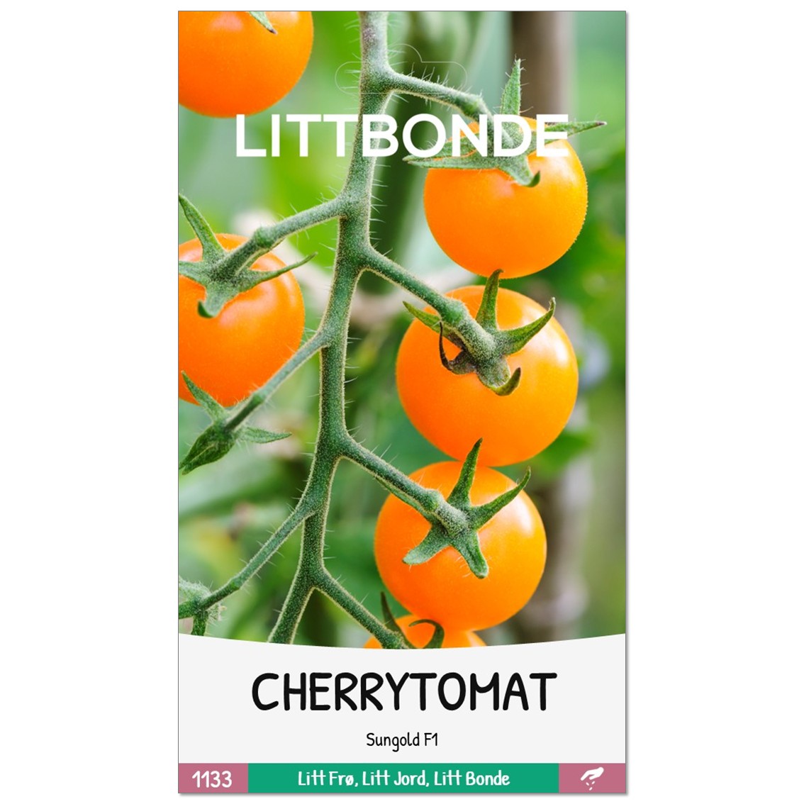 CHERRYTOMAT- Sungold F1 - Bilde 2