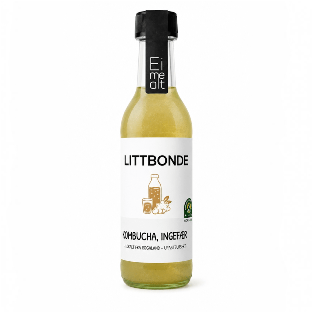 KOMBUCHA, INGEFÆR (ØKO)